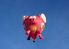 66    For all you procrastinators out there... pigs do fly!